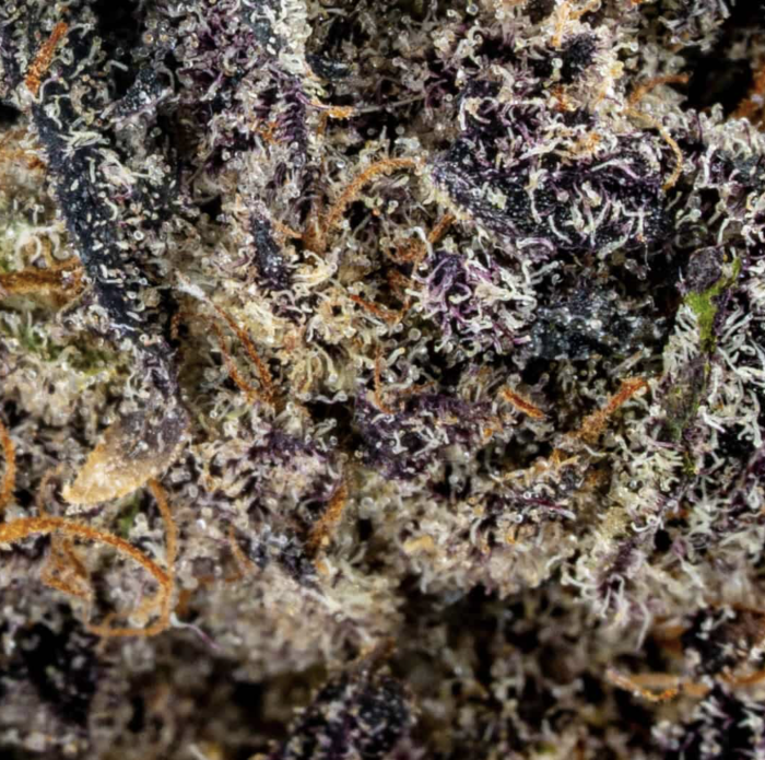 Strawberry Chemdawg - Image 2